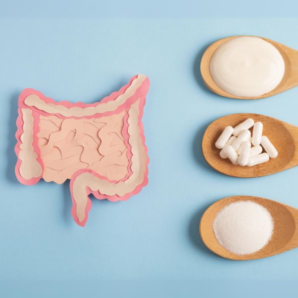 Top 5 des meilleurs probiotiques pour les intestins